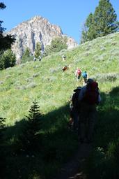 On the trail past williams peak [thu jul 2 10:47:20 mdt 2015]